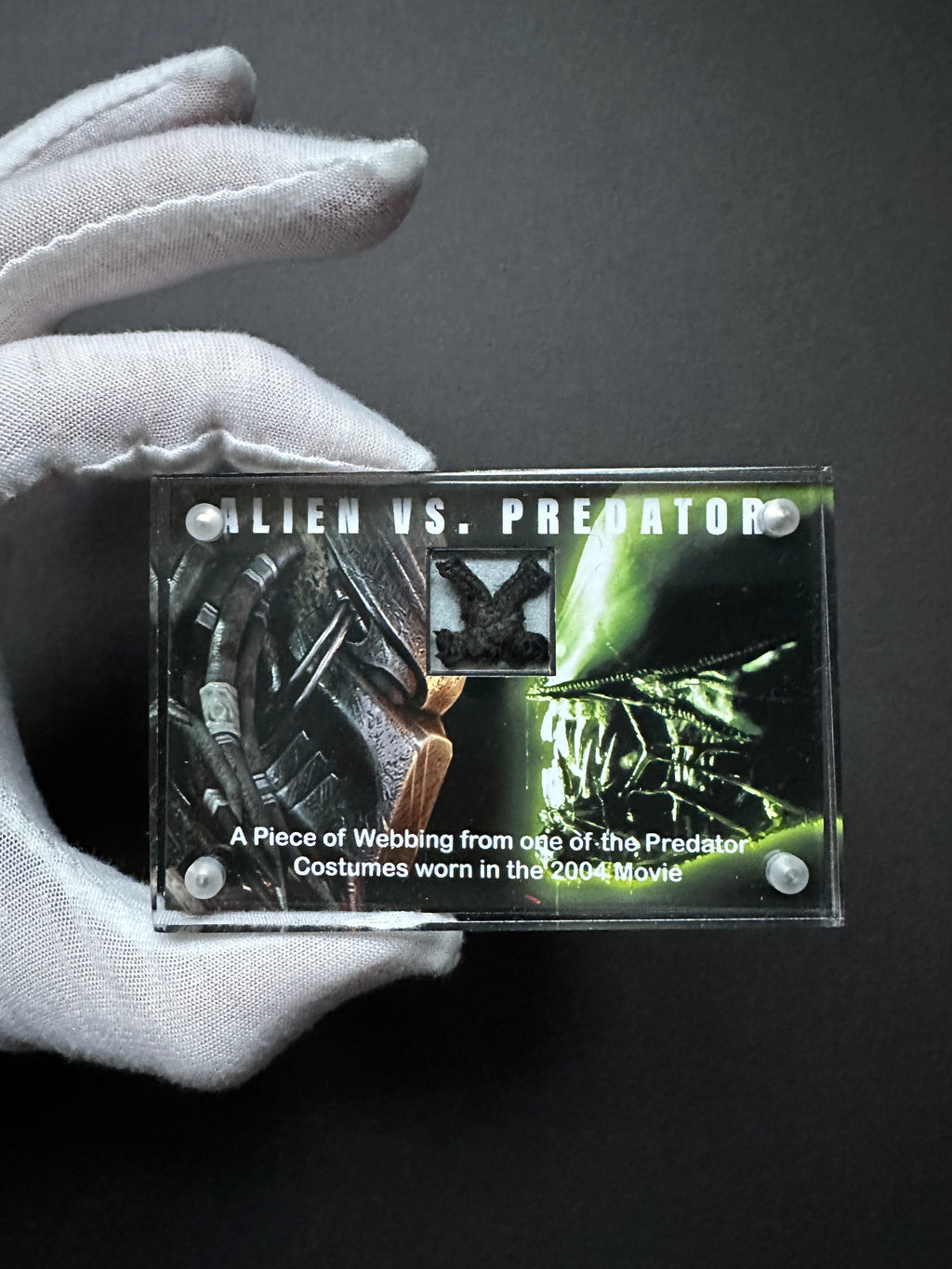 Alien vs. Predator (2004) - A Miniature Prop Display