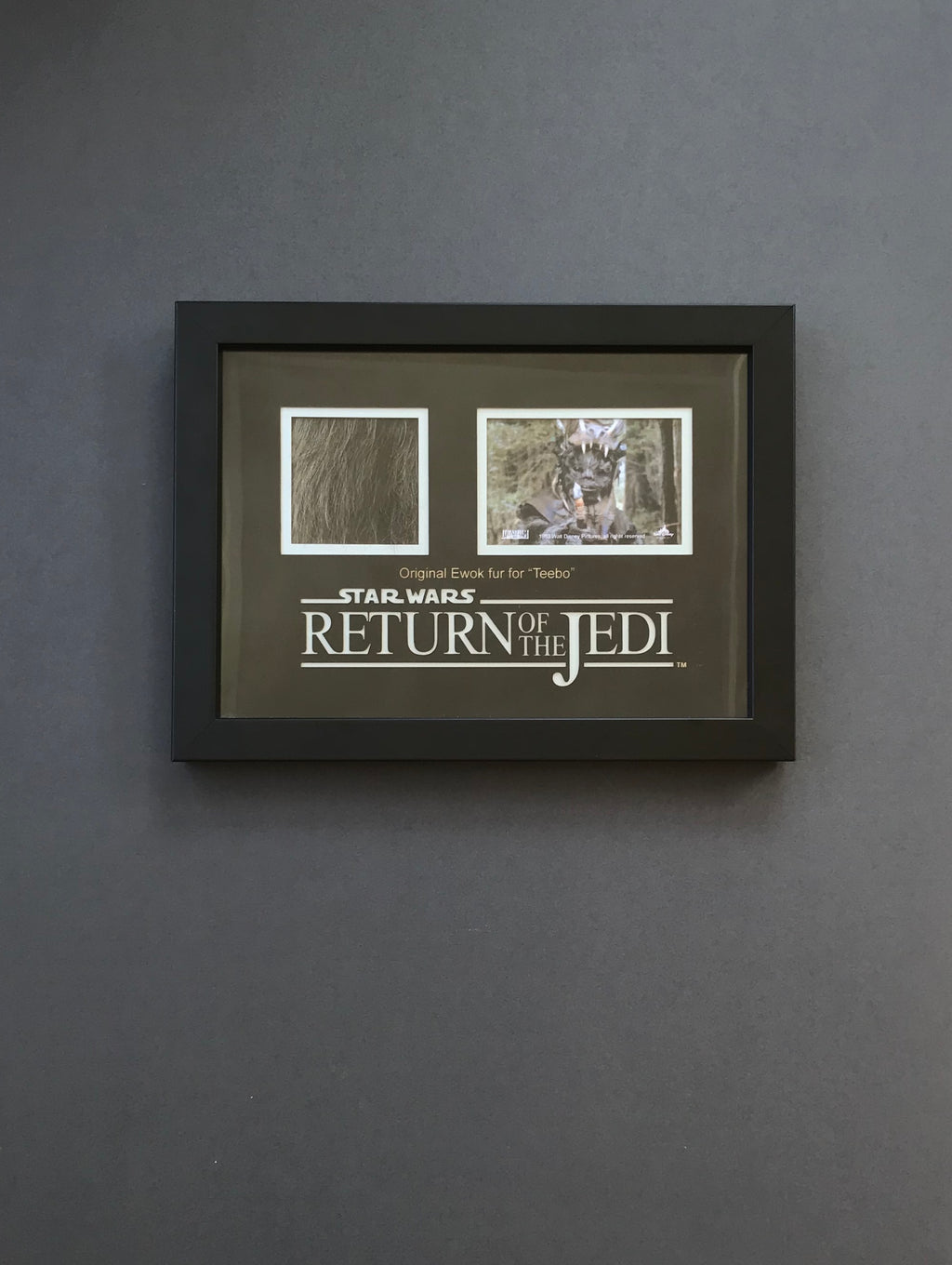 Star Wars: Return of the Jedi (1983) - A Teebo Ewok Fur Display