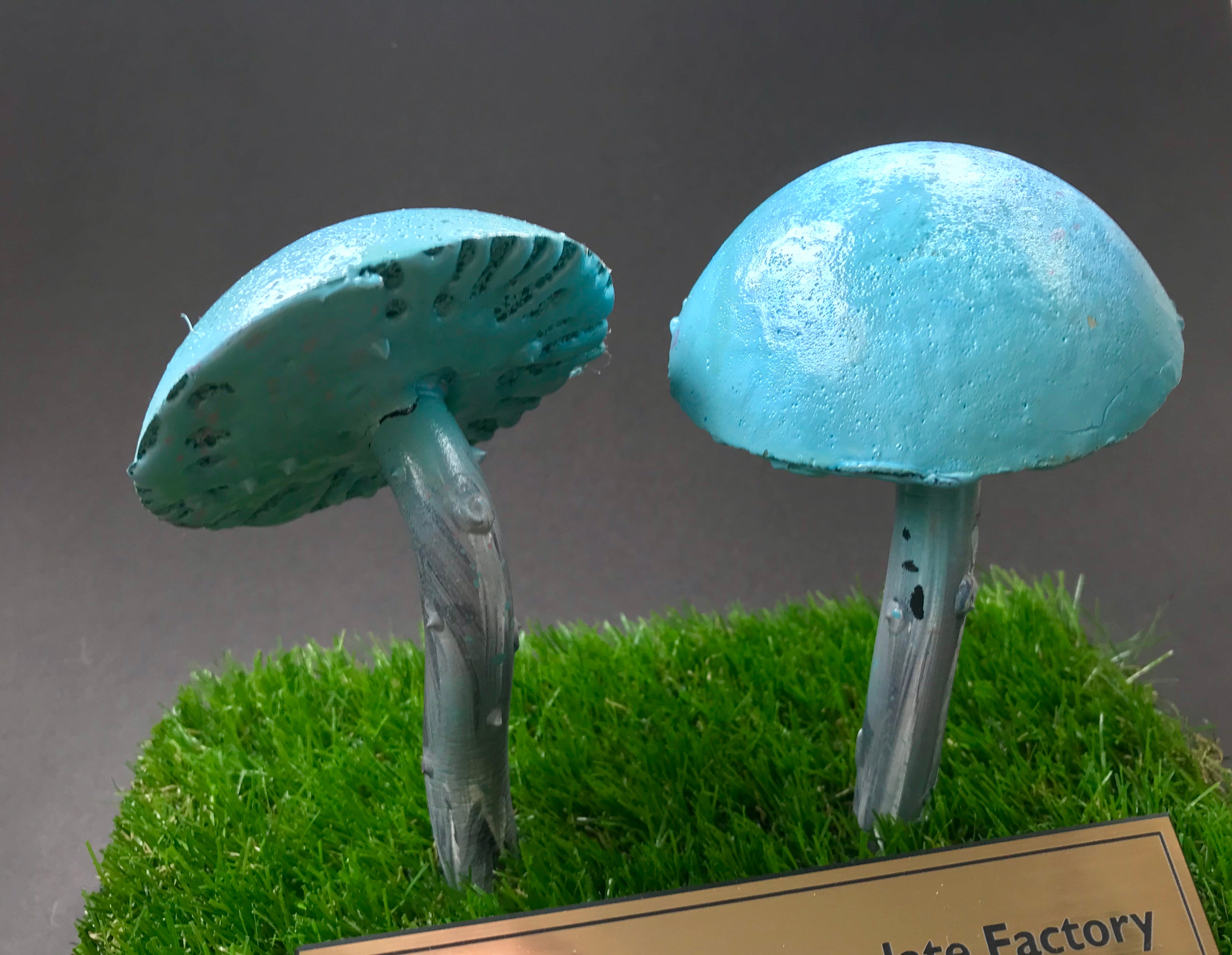 Charlie & The Chocolate Factory (2005) - Two Prop Mushrooms on a Custom Display (SOLD)