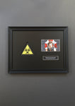 Resident Evil: The Final Chapter (2016) - Framed Biohazard Sign